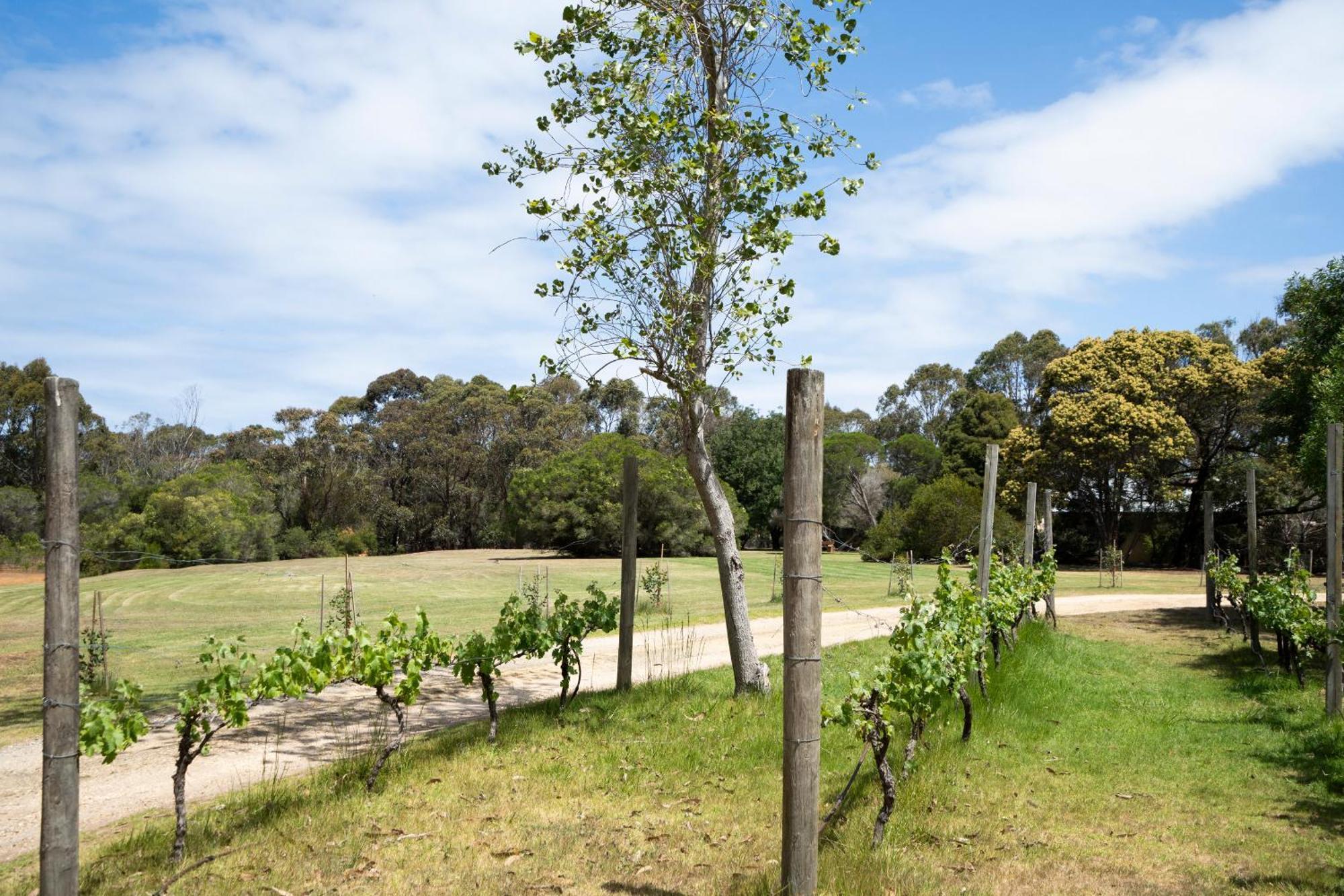 Bells Beach Cottages Bellbrae Buitenkant foto